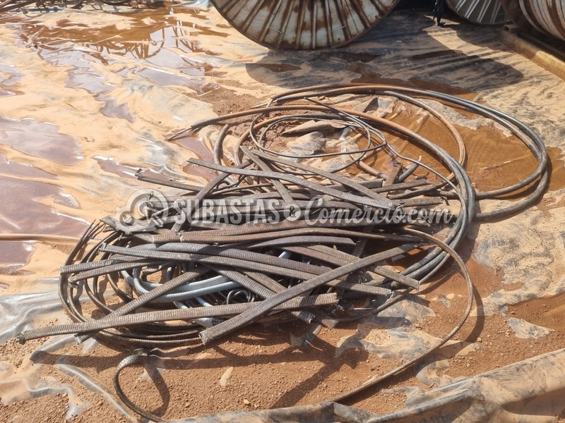 WhatsApp Image 2025-11-07 at 12.53.58 PM.jpg